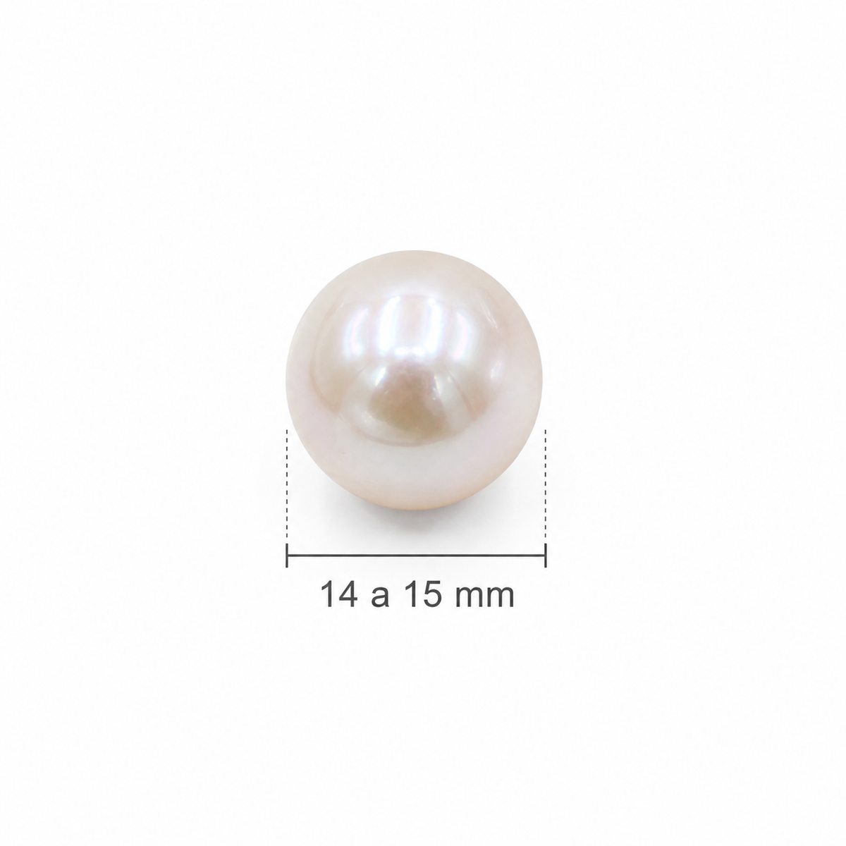 Perla Redonda de Agua Dulce 14–15 mm | Hilo 40 cm