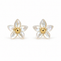 Pendientes Florecilla Nácar