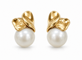 Pendientes Doble Laurel