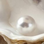 La Simbología de la Perla Cultivada