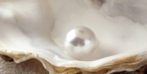 Lee más sobre el artículo La Simbología de la Perla Cultivada