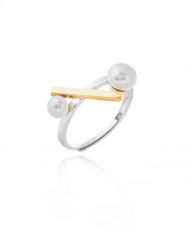 Anillo Porcentaje