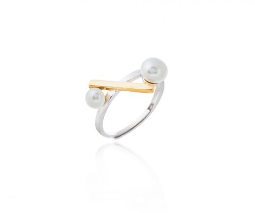 Anillo Porcentaje