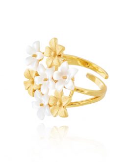 Anillo jardín Ishtar